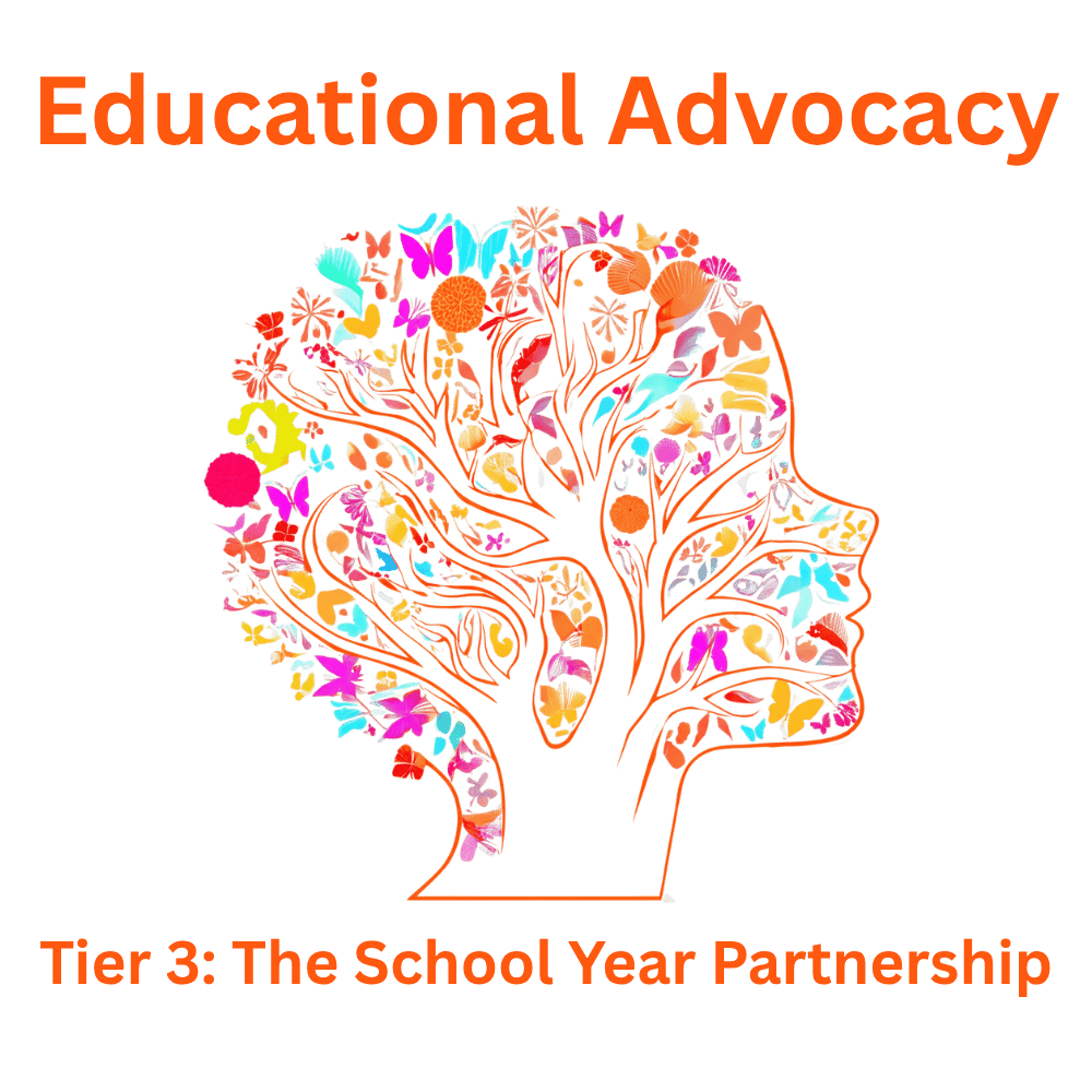 Milestones Child Psychology - Educational Advocacy